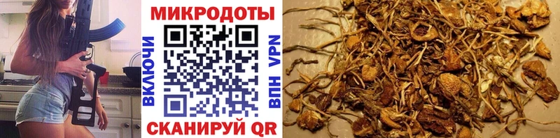 Галлюциногенные грибы Psilocybine cubensis  OMG ССЫЛКА  Беслан 