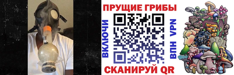 Псилоцибиновые грибы мицелий Беслан