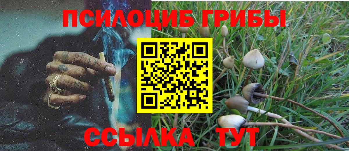 Галлюциногенные грибы ЛСД  Беслан  Псилоцибиновые грибы MAGIC MUSHROOMS 