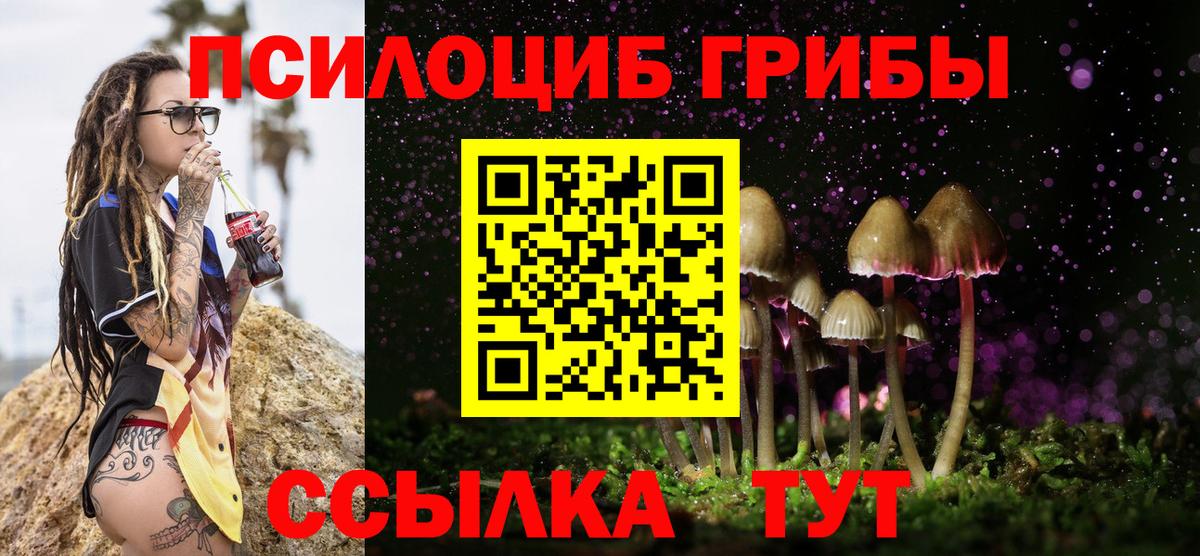 Псилоцибиновые грибы Psilocybe Беслан